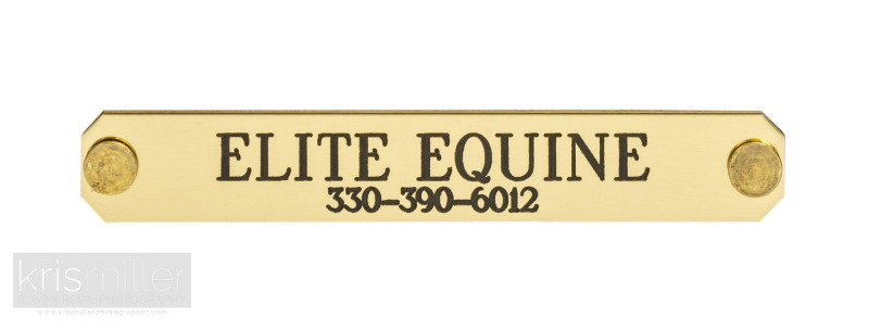 Elite-Equine-42-WEB