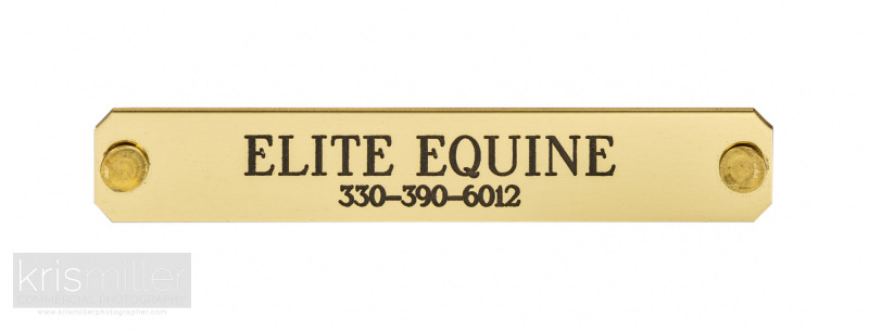 Elite-Equine-43-WEB