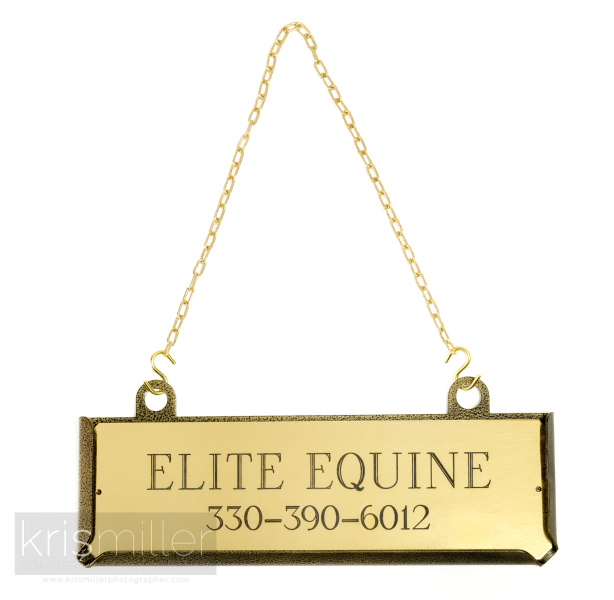 Elite-Equine-47-WEB