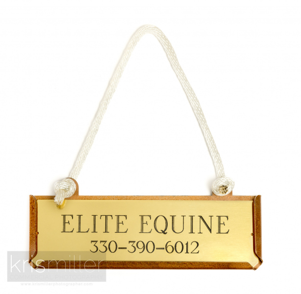 Elite-Equine-50-WEB